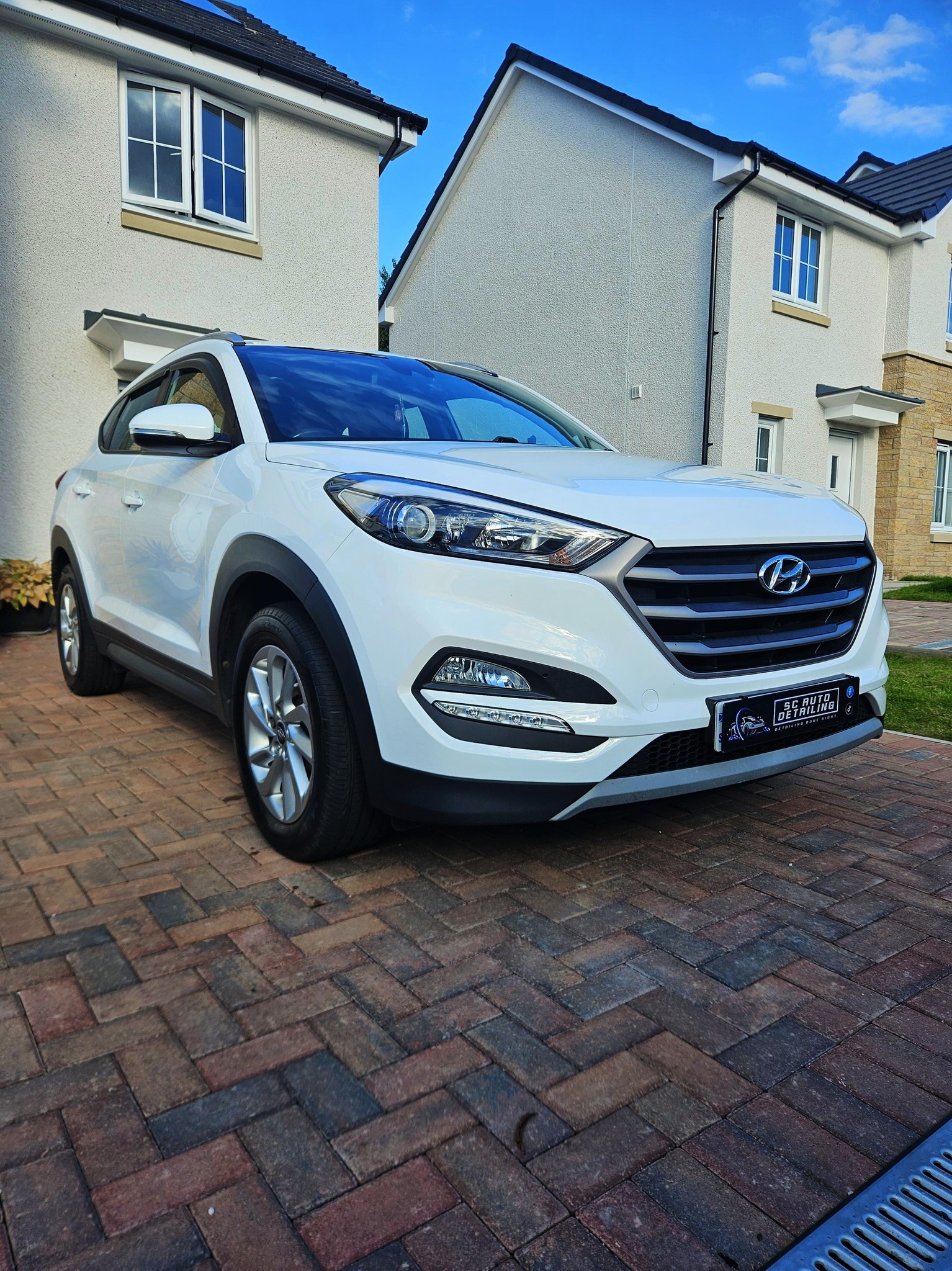 Professional car detailing service - comprehensive cleaning results